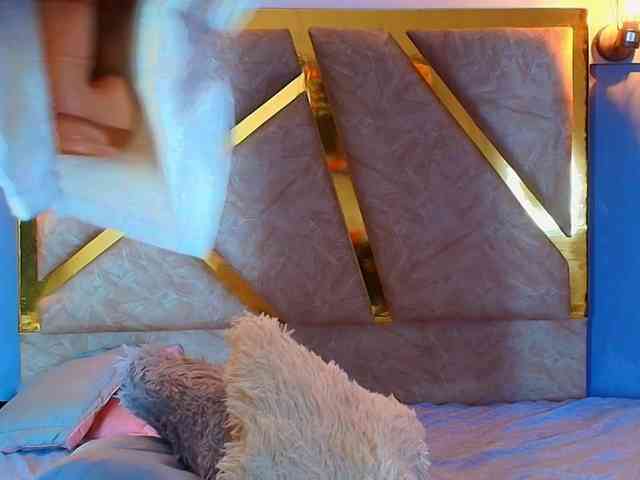 Alaiahammer webcam