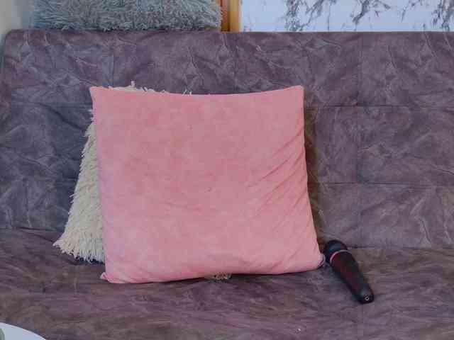 Alaiahammer webcam