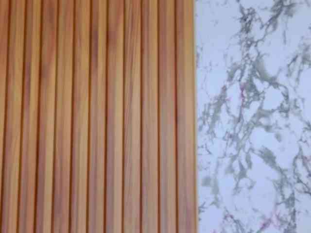 Alaiahammer webcam