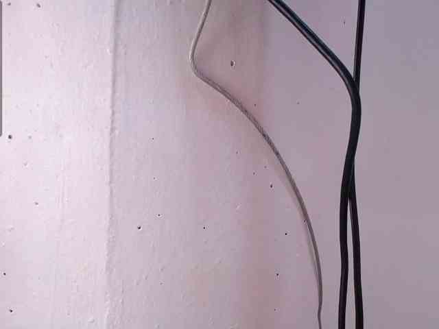 MissDamn webcam