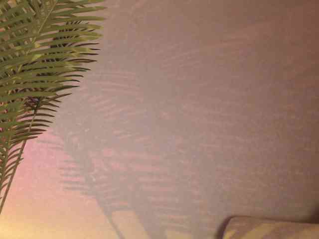 online cam show Maribett