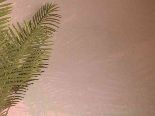 online cam show Maribett