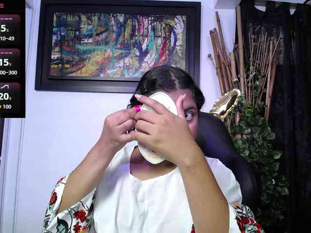 shailayojana webcam
