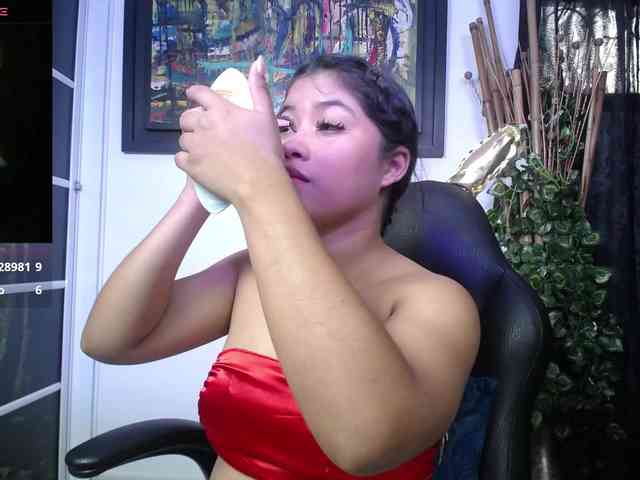shailayojana webcam