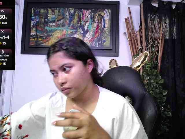 shailayojana webcam