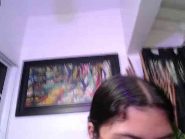 shailayojana webcam