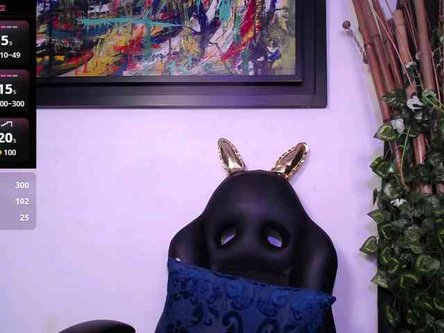 shailayojana webcam