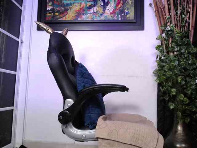 shailayojana webcam