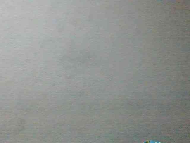 Labella204 webcam