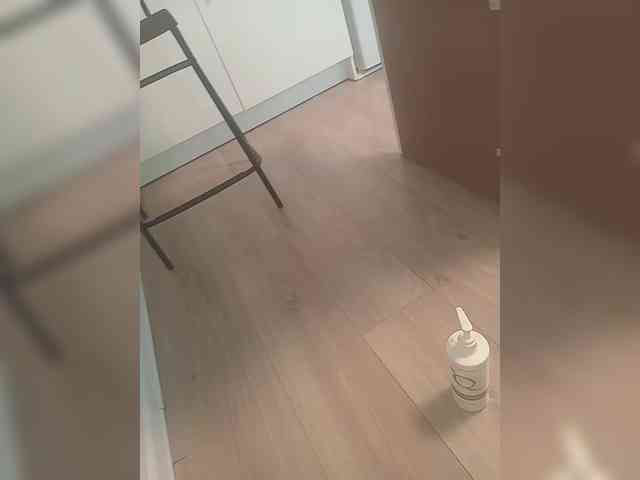 Jaha-1 Live Webcam on BongaCams Jaha-1 Live Webcam on BongaCams