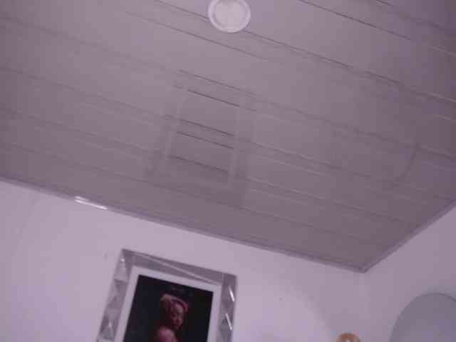 alondrasparrow webcam