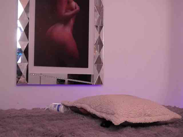 alondrasparrow webcam