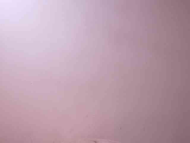 alondrasparrow webcam