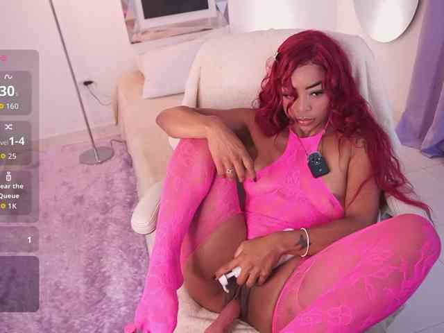 alondrasparrow webcam