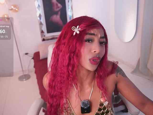 alondrasparrow webcam