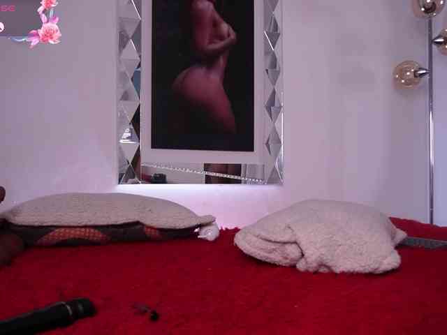 alondrasparrow webcam