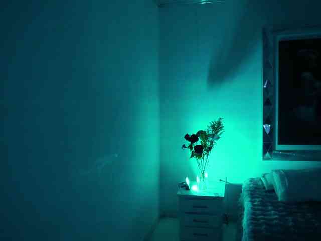 alondrasparrow alondrasparrow