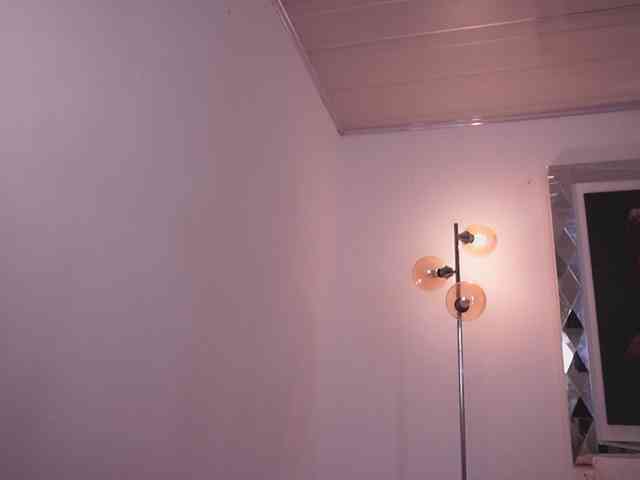 alondrasparrow webcam