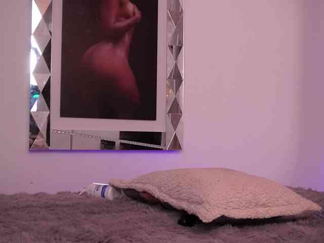 alondrasparrow webcam