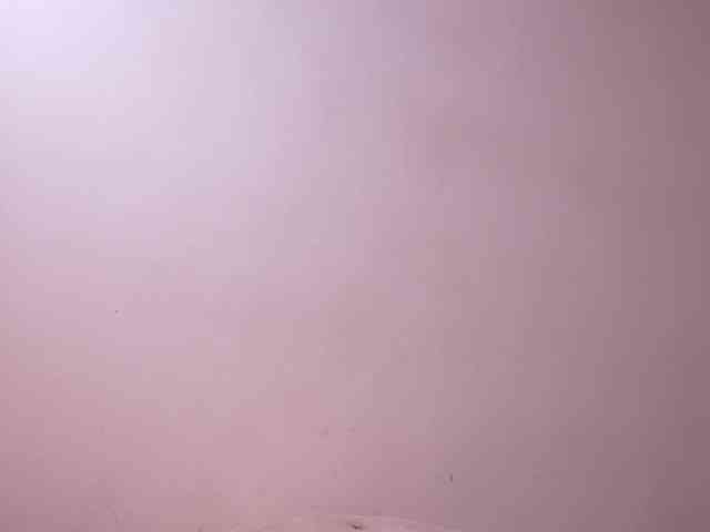 alondrasparrow webcam