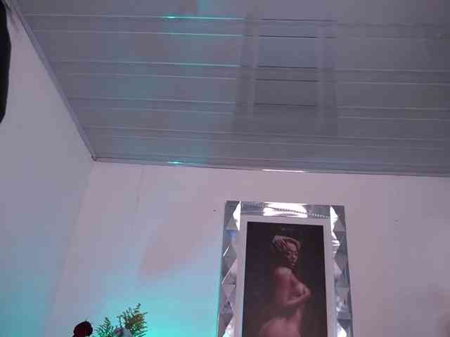 alondrasparrow webcam