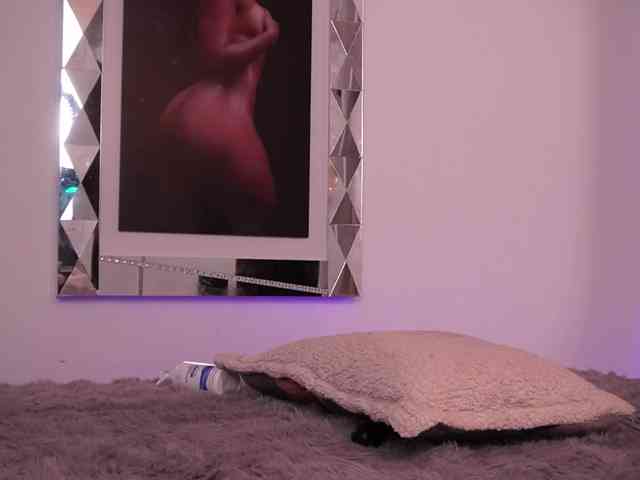 alondrasparrow webcam