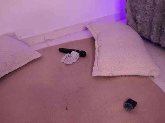 alondrasparrow webcam