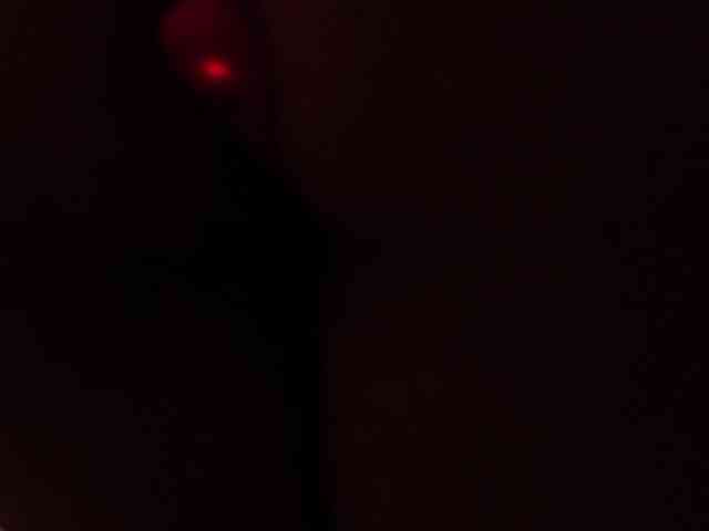 alondrasparrow webcam