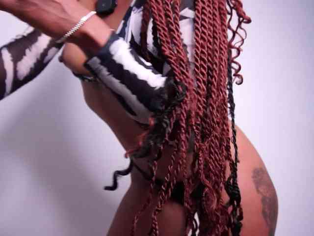 alondrasparrow webcam