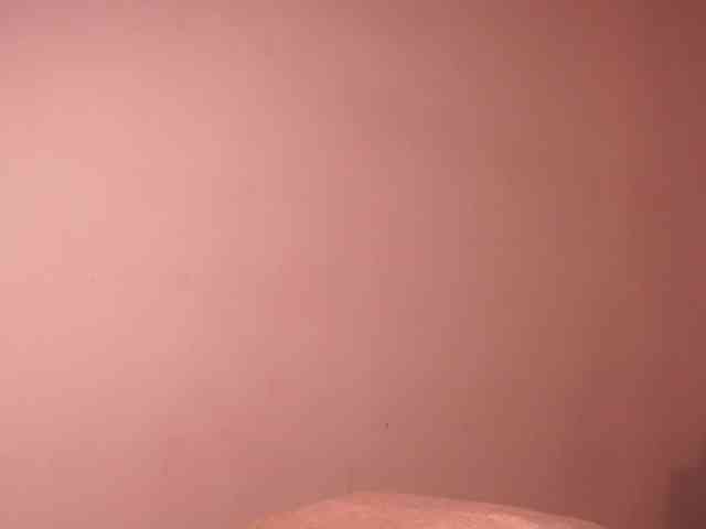 alondrasparrow webcam