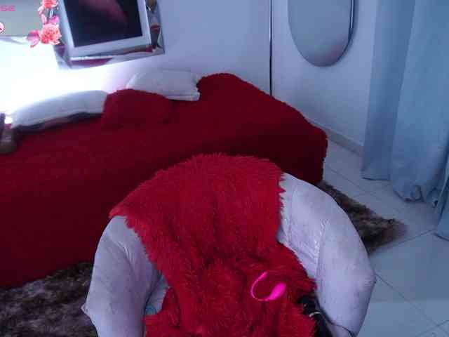 alondrasparrow webcam