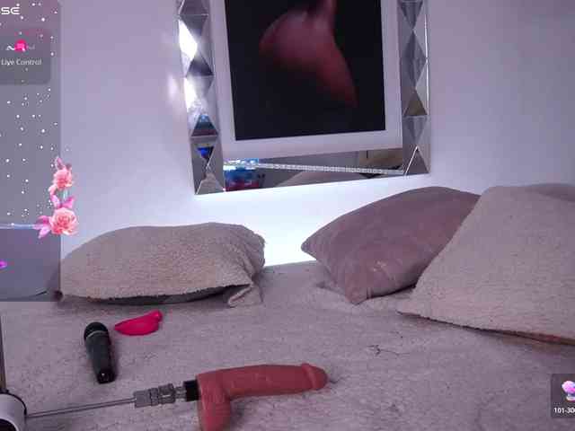 alondrasparrow webcam