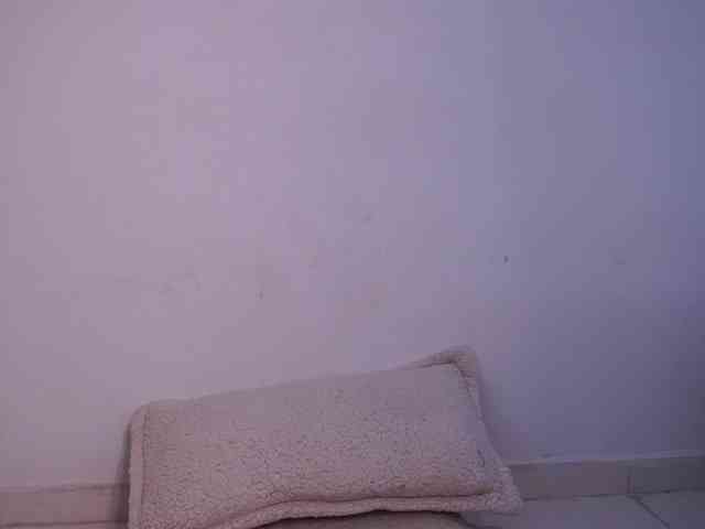 alondrasparrow webcam