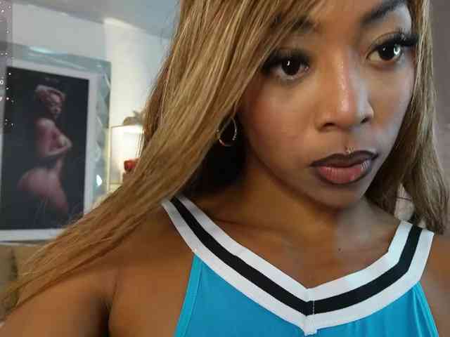 alondrasparrow webcam