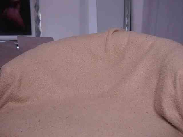 alondrasparrow webcam