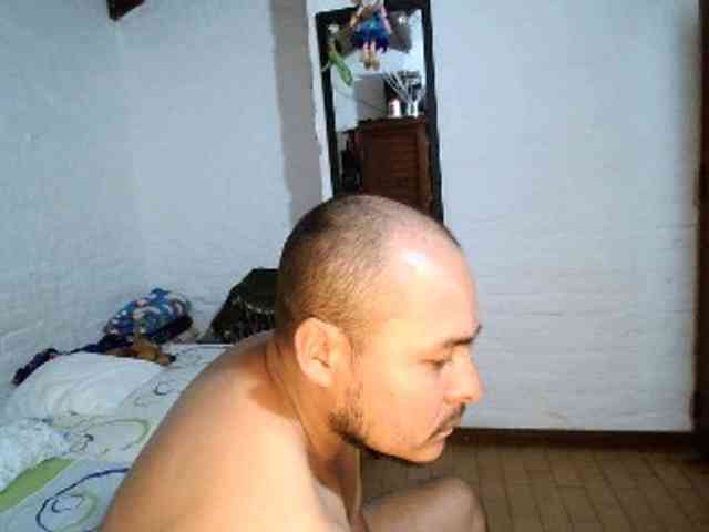 DOGUIDAY webcam