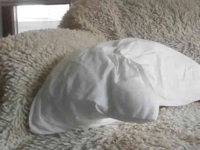 APAT1 Live Webcam on BongaCams