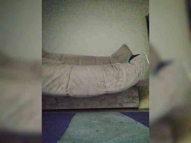 MaryLey webcam