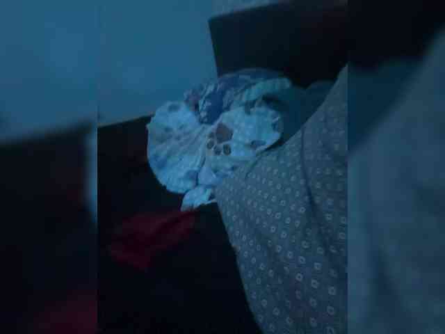 RomaSveta webcam