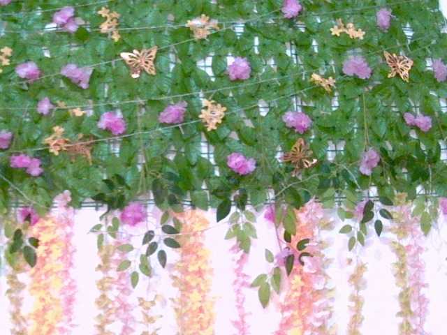 Crystal25's BongaCams show and profile