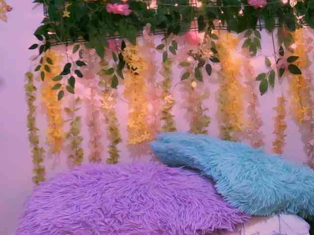 Crystal25 webcam