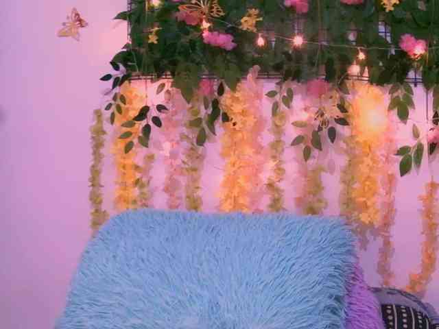 Crystal25 webcam