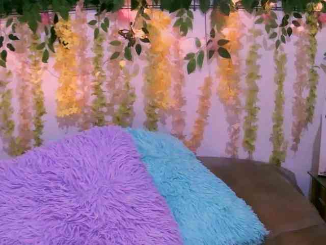 Crystal25 webcam
