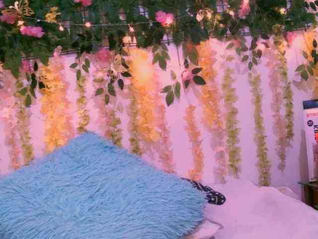 Crystal25 webcam