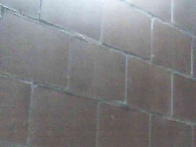 fariana webcam