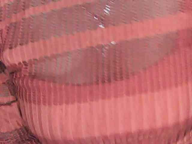 fariana webcam