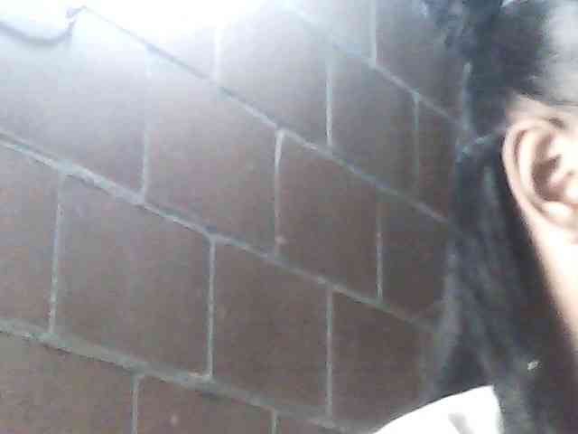 fariana webcam