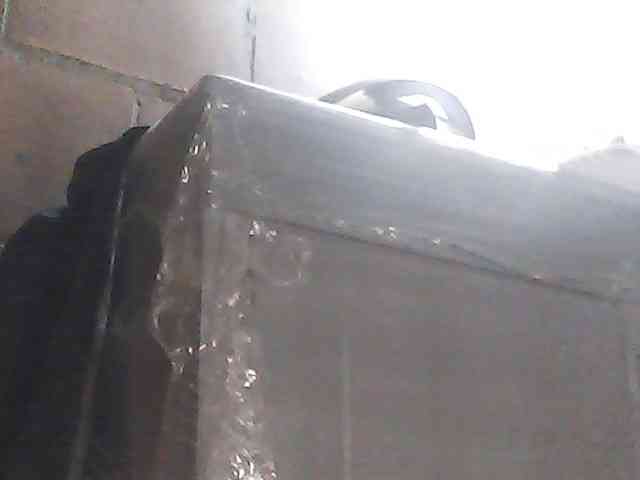 fariana webcam
