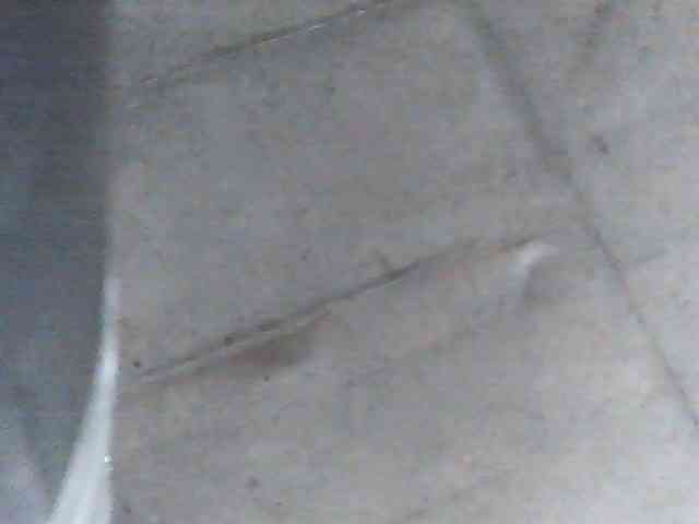 fariana webcam