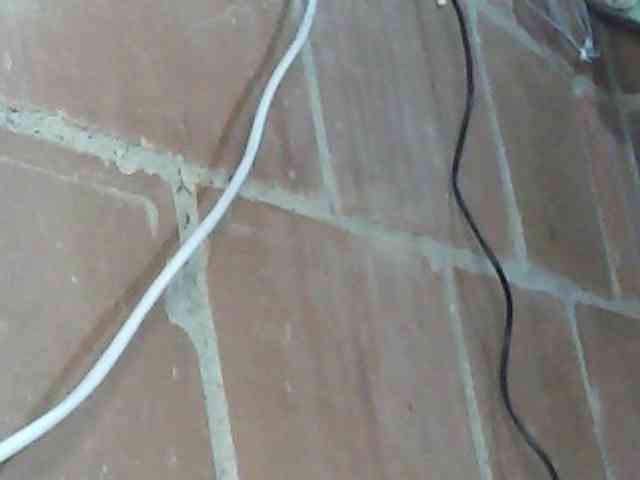 fariana webcam